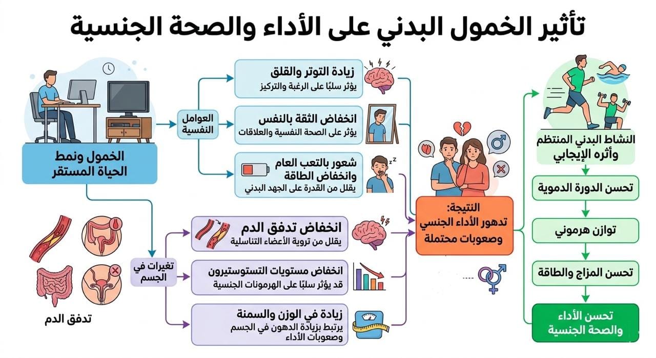 رسم توضيحي يقارن بين تأثير النشاط البدني والخمول وقلة النشاط البدني على مظهر الجسم وقوة العضلات ومستويات الطاقة العامة لدى الرجل.