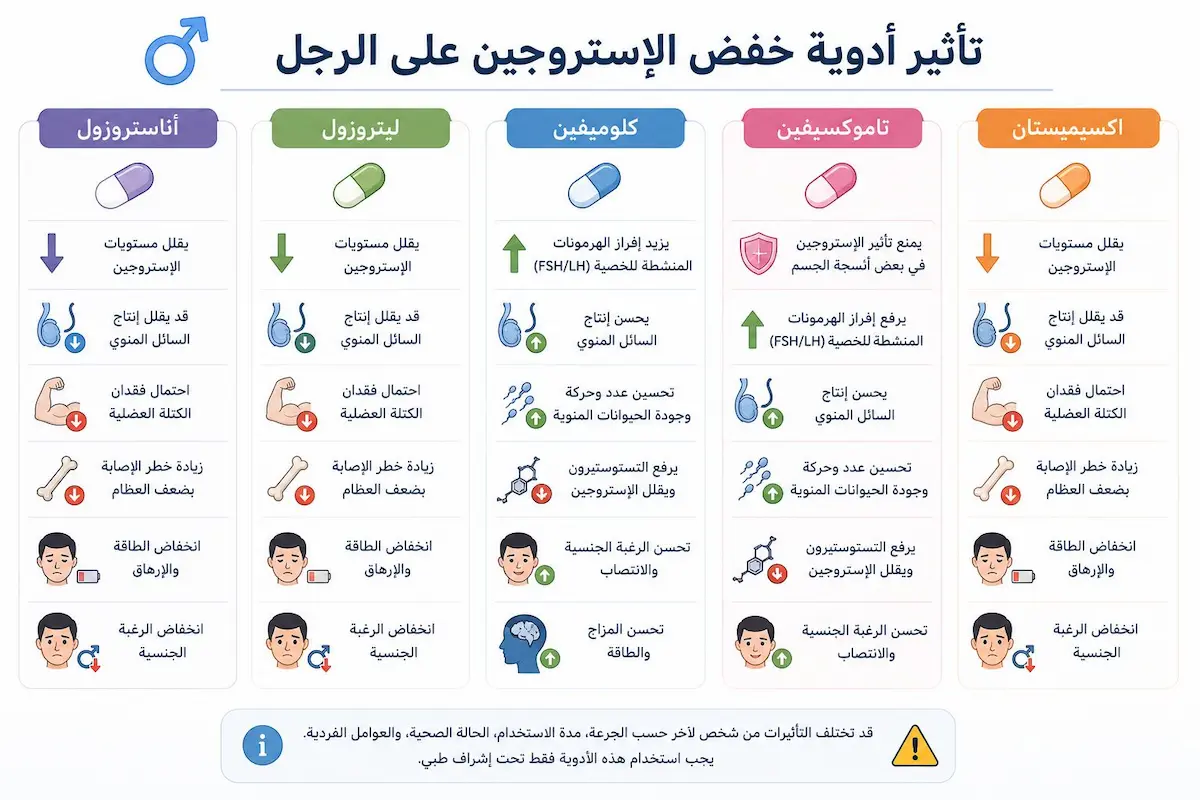 إنفوجرافيك طبي يوضح كيف تؤثر أدوية خفض الإستروجين على الرغبة والانتصاب ومستويات التستوستيرون لدى الرجال.