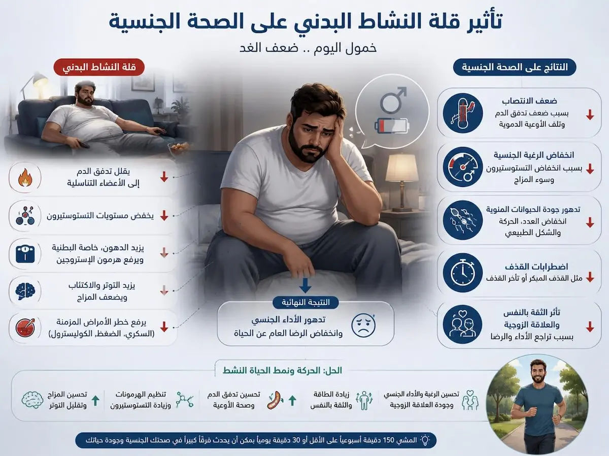 إنفوجرافيك طبي بصري يوضح الشرح والتأثير المباشر وغير المباشر لقلة النشاط البدني والخمول على الوظيفة الجنسية والانتصاب وفق الأدلة العلمية.