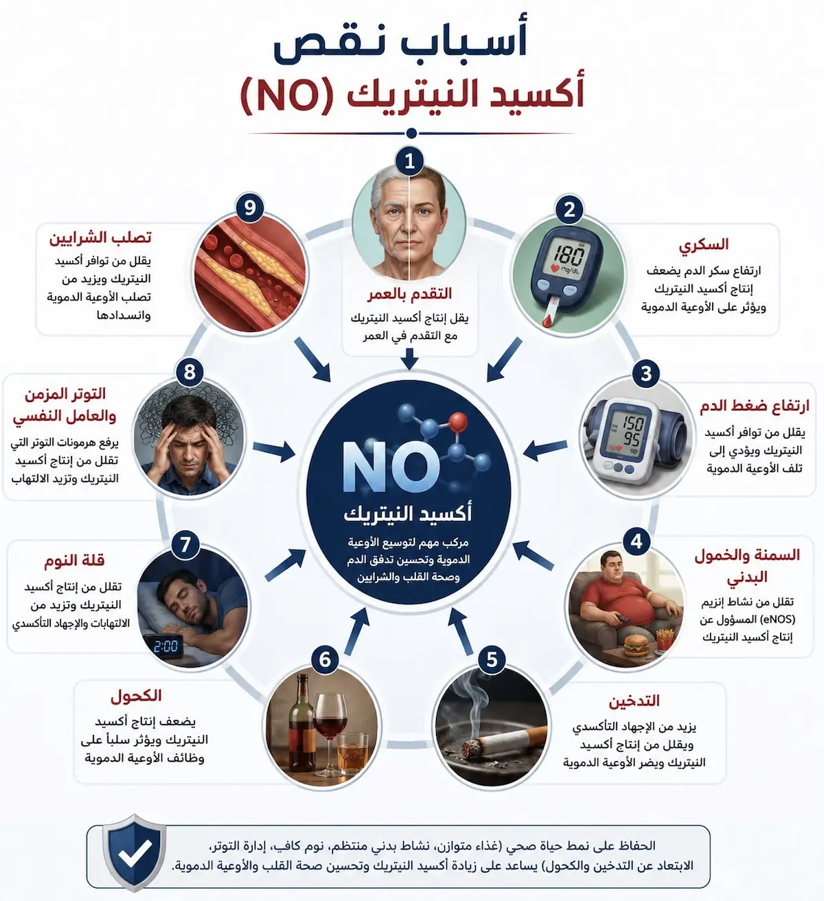 تأثير عادات الحياة على أكسيد النيتريك - أطلس الرجل الصحي. إنفوجرافيك طبي يفصل تأثير التدخين، السكري، والخمول على تدمير بطانة الأوعية الدموية ومنع إفراز أكسيد النيتريك للرجال.