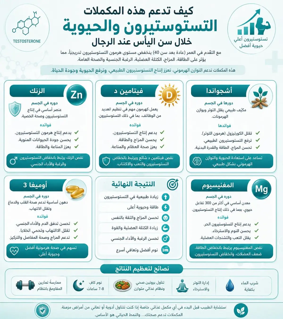 إنفوجرافيك طبي يوضح الآلية الحيوية لتأثير المكملات الغذائية في تحسين الأداء الجنسي، الرغبة، وقوة الانتصاب عند الرجال في سن اليأس الذكوري.