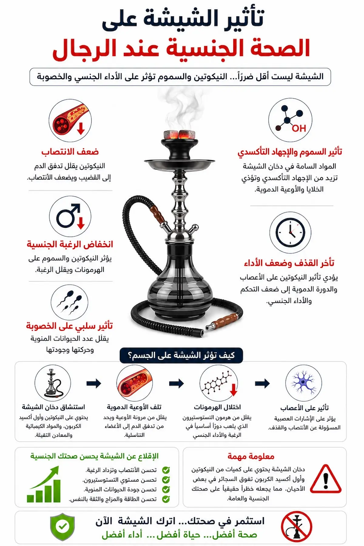 إنفوجرافيك طبي يفصل أضرار تدخين الأرجيلة على تدمير أكسيد النيتريك، هبوط التستوستيرون، وضعف الانتصاب عند الرجال.