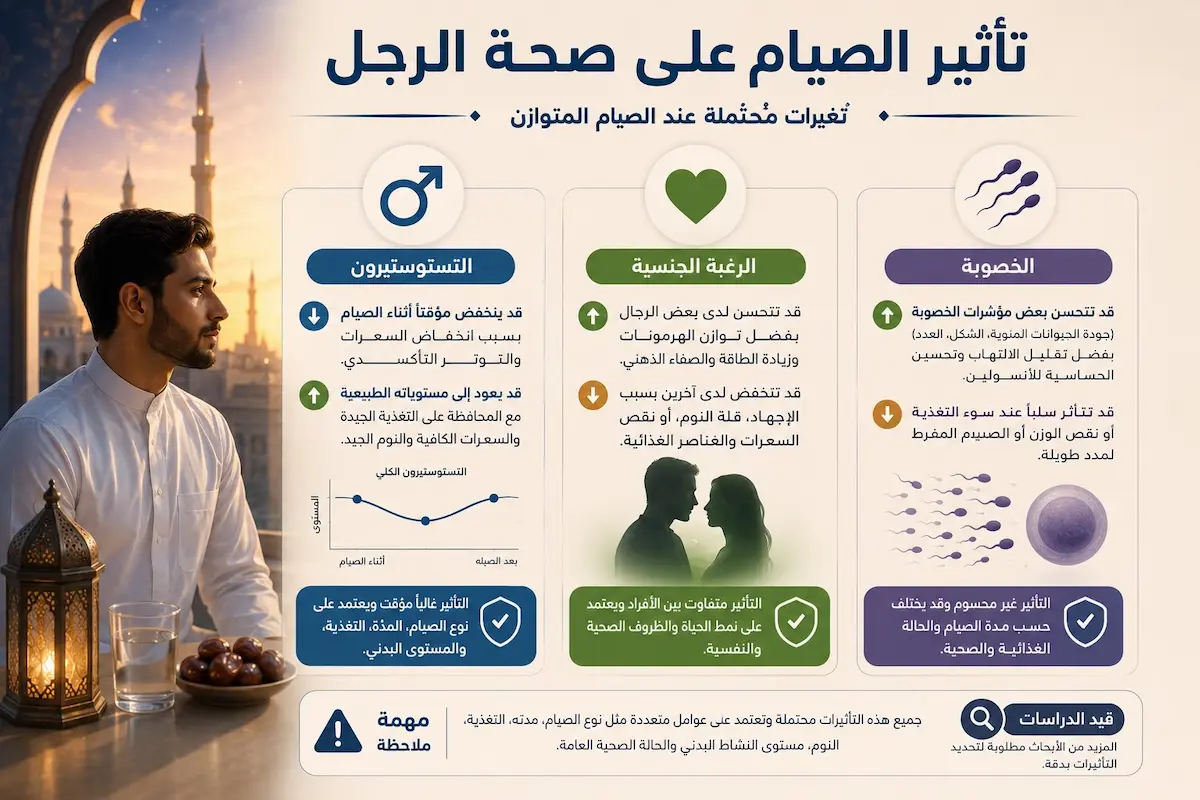 إنفوجرافيك طبي بصري يوضح شرح وتأثير الصيام والصيام المتقطع على مستويات التستوستيرون والرغبة الجنسية وجودة الخصوبة والحيوانات المنوية لدى الرجال.