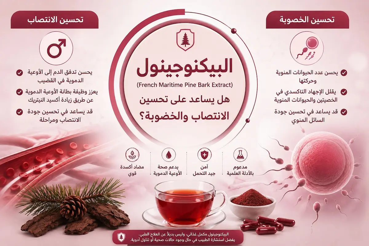 إنفوجرافيك طبي بصري يوضح شرح وتأثير البيكنوجينول على تحفيز أكسيد النيتريك وتحسين تدفق الدم للانتصاب وجودة الحيوانات المنوية والخصوبة.