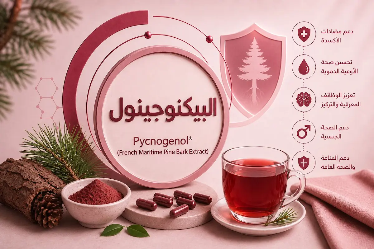 رسم توضيحي ولقطة لمستخلص بيكنوجينول ولحاء الصنوبر مع مشروب وشعار لمناقشة مقال فوائد البيكنوجينول للانتصاب والخصوبة عند الرجال.
