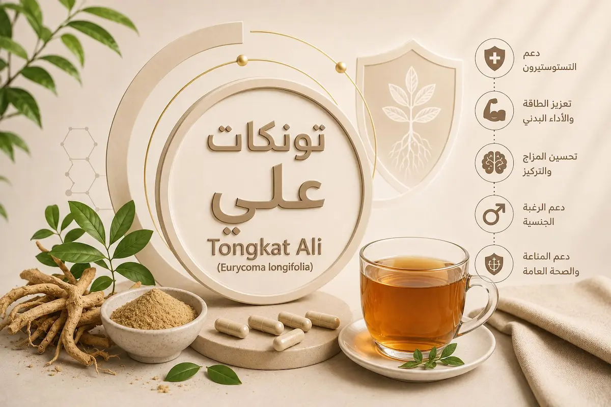 رسم توضيحي ولقطة لجذور عشبة تونكات علي مع كاس مشروب لمناقشة مقال تأثير تونكات علي على رفع التستوستيرون وتحسين الرغبة والخصوبة لدى الرجال.