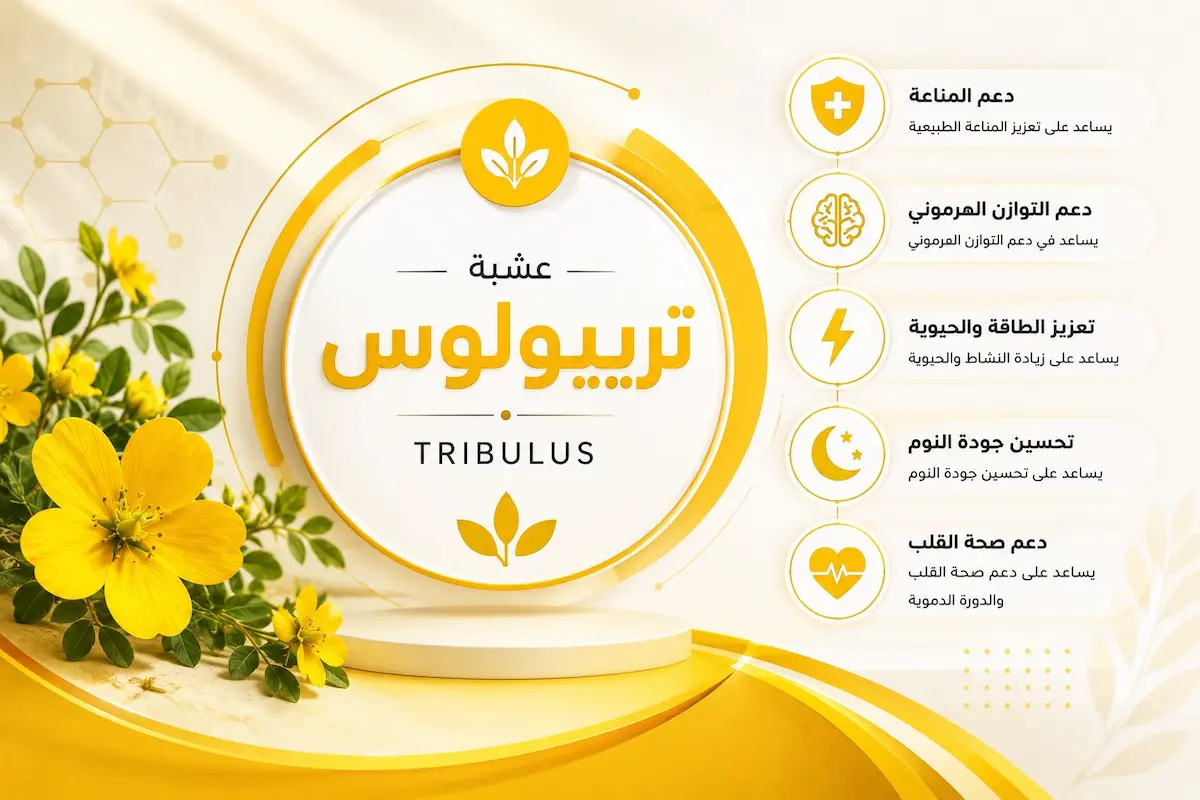 لقطة فوتوغرافية لنبات التريبولوس حسك الأرض مع كوب شاي وكبسولات مكملات غذائية لمناقشة دوره في الرغبة والانتصاب ومستويات التستوستيرون عند الرجال.