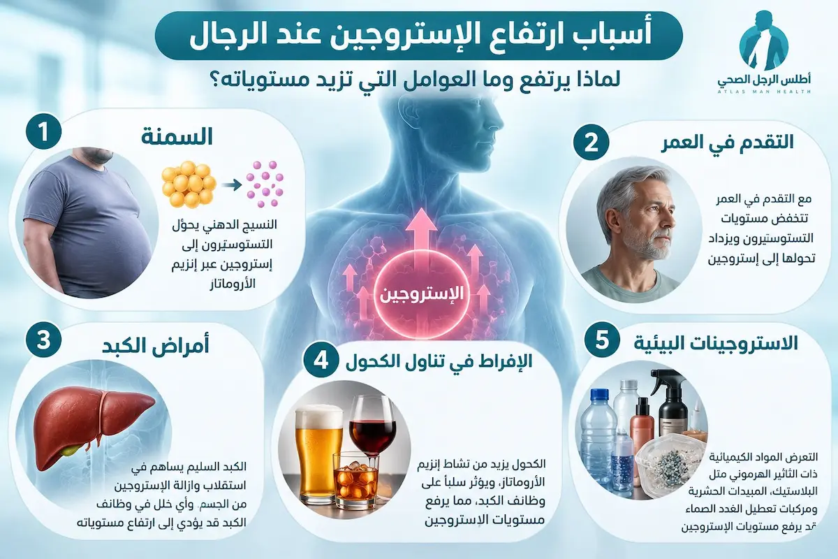 إنفوجرافيك طبي بصري يوضح شرح مفصل لأسباب وعوامل ارتفاع هرمون الإستروجين لدى الرجال مثل السمنة والتوتر والنظام الغذائي والمواد الكيميائية.