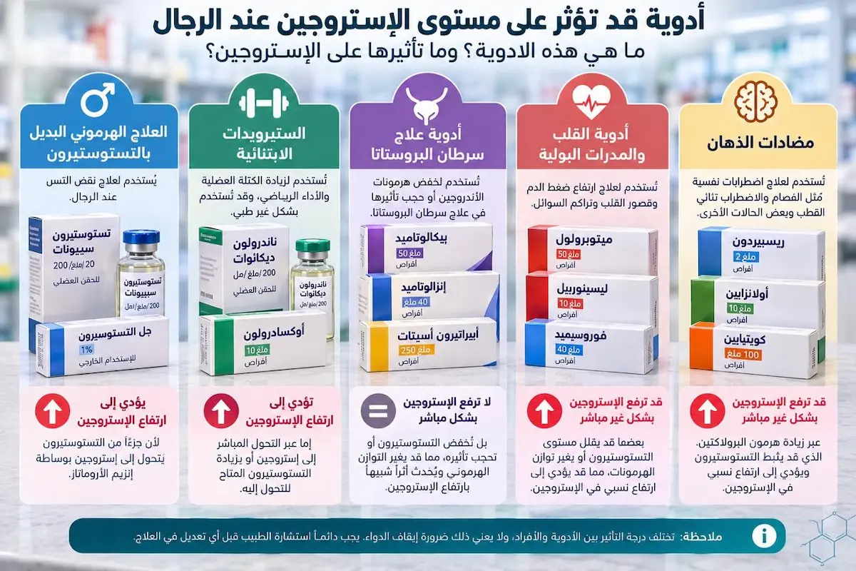 إنفوجرافيك طبي بصري يوضح شرح وآلية تأثير الأدوية التي ترفع الإستروجين لدى الرجال والتوازن الهرموني بين التستوستيرون والإستروجين.